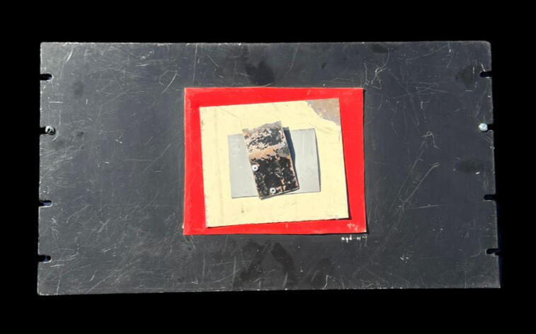 Apple Slice 20" x 10" $150